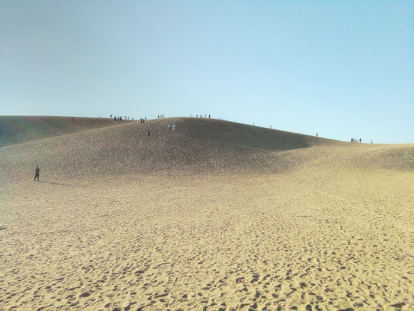 数十年ぶりの鳥取砂丘
