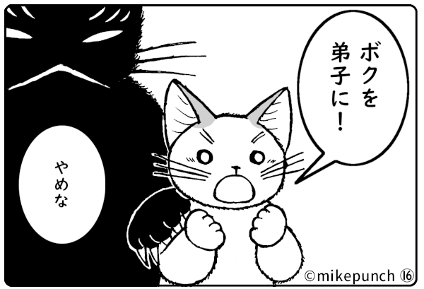 おにぎり猫のものがたり 第三十六話 弟子入り志願