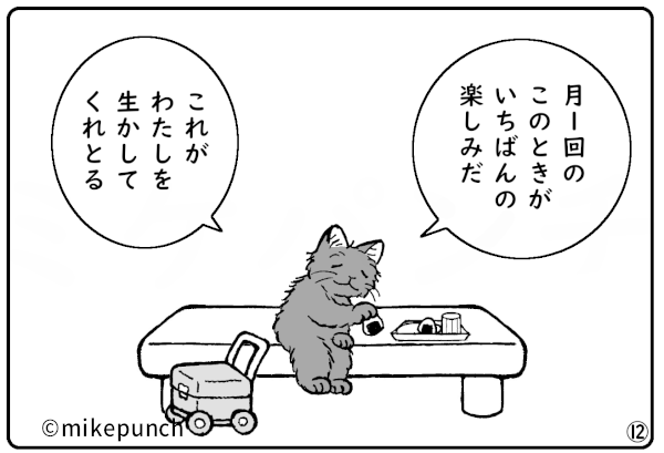 おにぎり猫のものがたり 第三十七話 おにぎりの誇り