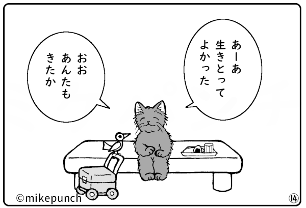 おにぎり猫のものがたり 第三十七話 おにぎりの誇り